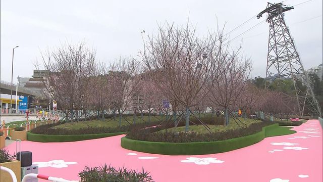 無綫新聞 TVB News 無綫新聞 TVB News