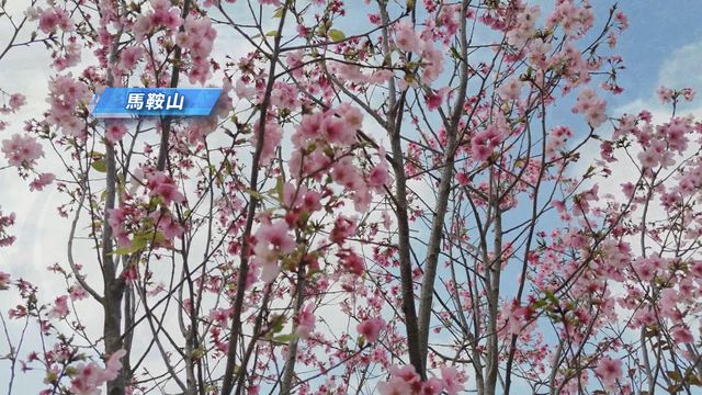 無綫新聞 TVB News 無綫新聞 TVB News