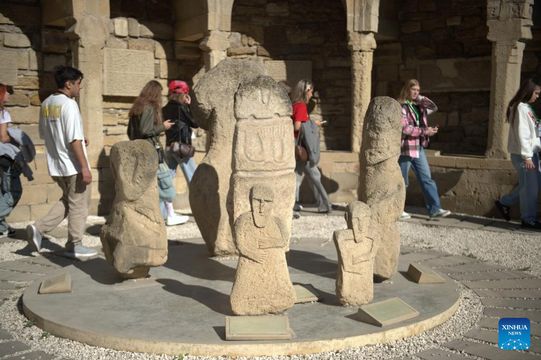 無綫新聞 TVB News