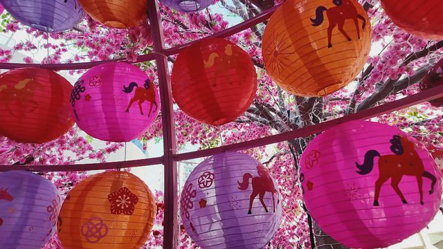 無綫新聞 TVB News