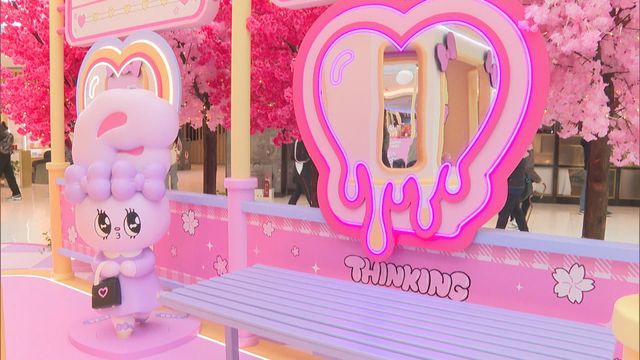 無綫新聞 TVB News