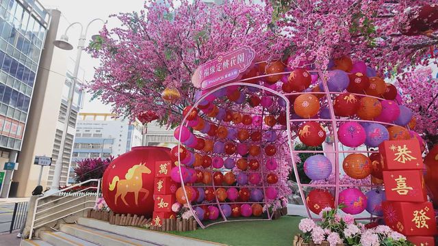 無綫新聞 TVB News