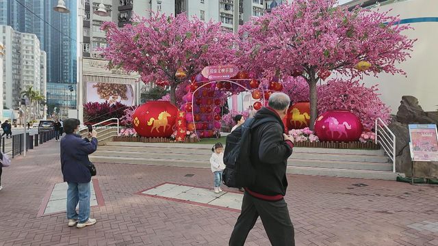 無綫新聞 TVB News