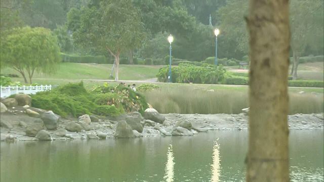 迪欣湖有人疑違規游泳期間遇溺　送院後不治