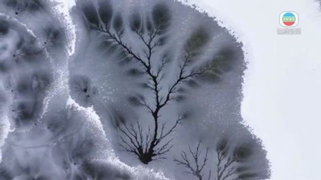 無綫新聞 TVB News