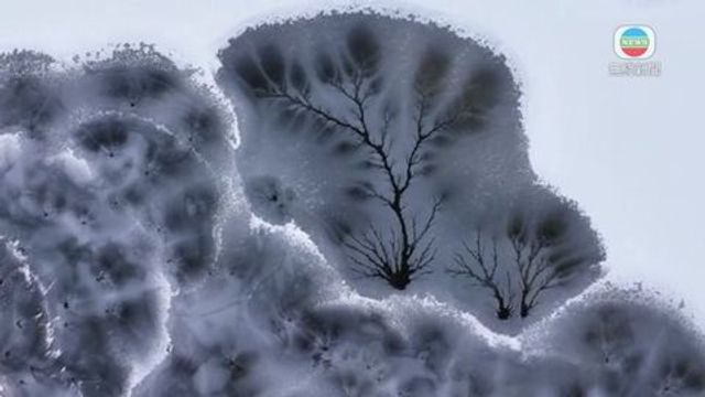 無綫新聞 TVB News