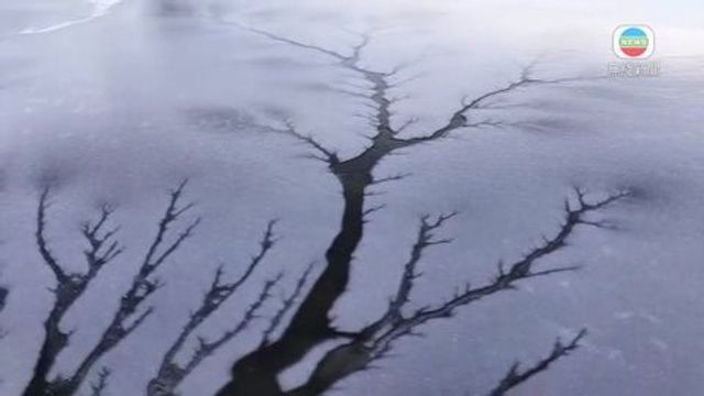 無綫新聞 TVB News