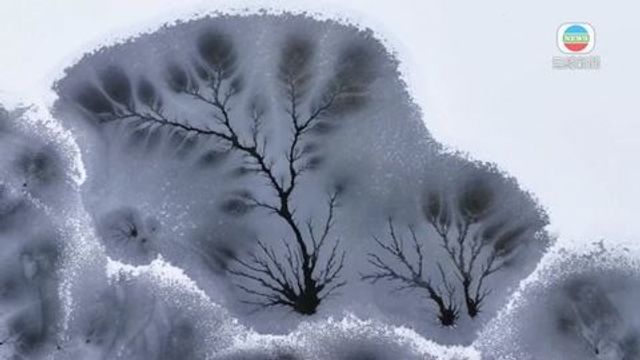 無綫新聞 TVB News