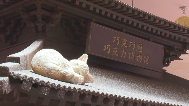 無綫新聞 TVB News