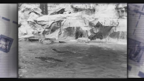 時事通識|羅馬許願池 時事通識|羅馬許願池