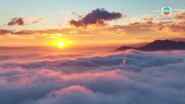 無綫新聞 TVB News