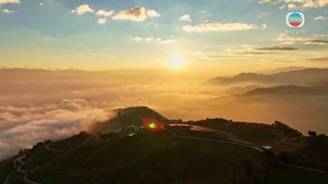 無綫新聞 TVB News