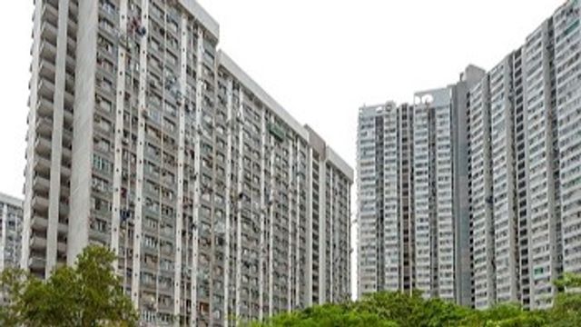 無綫新聞 TVB News