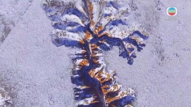 無綫新聞 TVB News