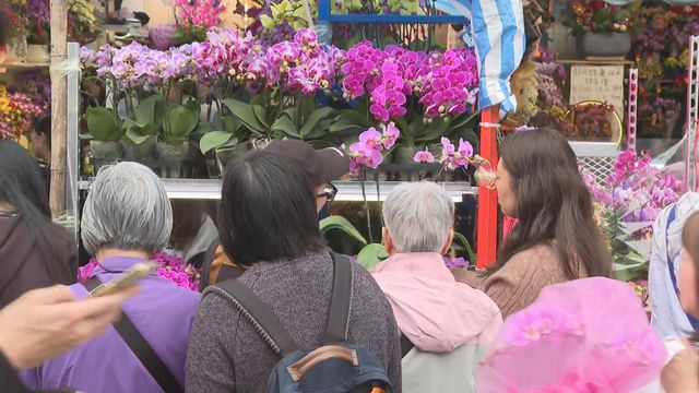 無綫新聞 TVB News 無綫新聞 TVB News