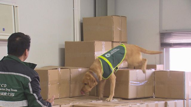 無綫新聞 TVB News