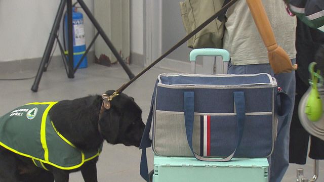 無綫新聞 TVB News