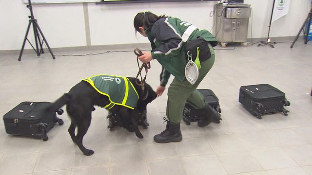 無綫新聞 TVB News