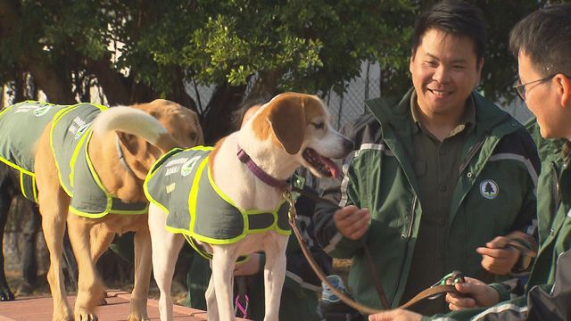 無綫新聞 TVB News