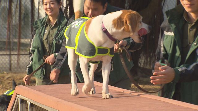 無綫新聞 TVB News