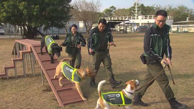 無綫新聞 TVB News