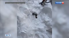 Suspect who allegedly shot Russian general Valdimir Alekseyev is detained in UAE