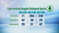 Quarantine detector dogs part of fight against smuggling of endangered species