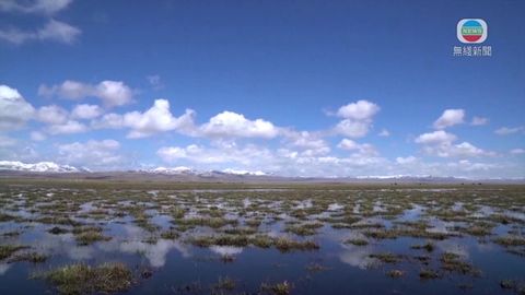 航拍中國‧四川｜若爾蓋濕地保育十年有成 黑頸鶴回歸展生物多樣性成果