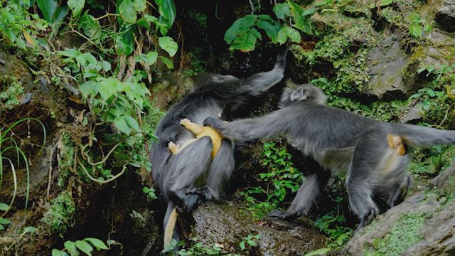 無綫新聞 TVB News