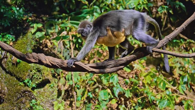 無綫新聞 TVB News