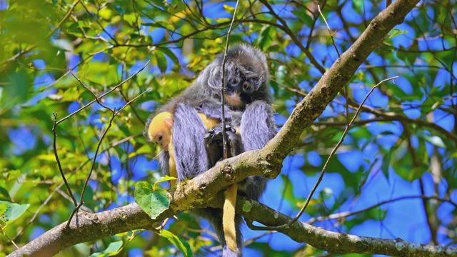 無綫新聞 TVB News