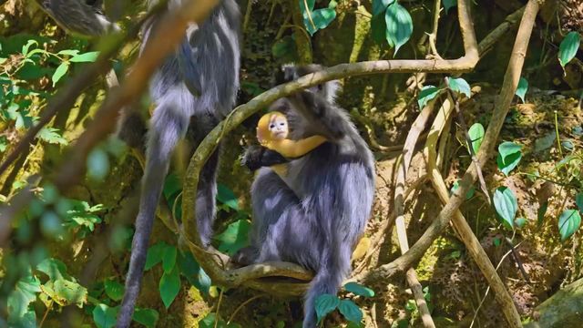 無綫新聞 TVB News