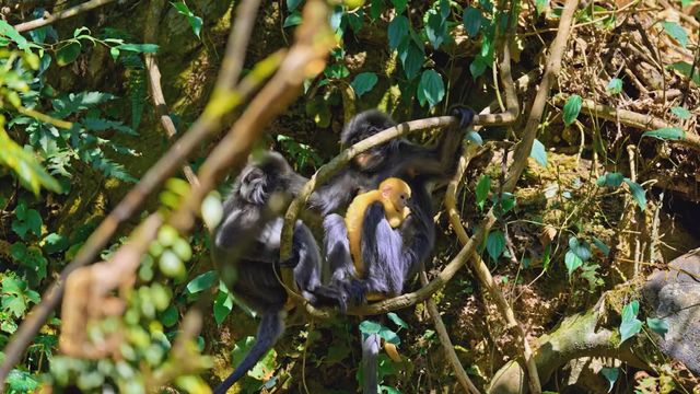 無綫新聞 TVB News