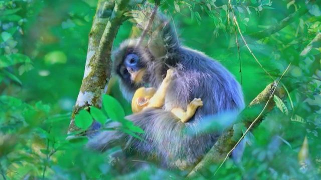 無綫新聞 TVB News