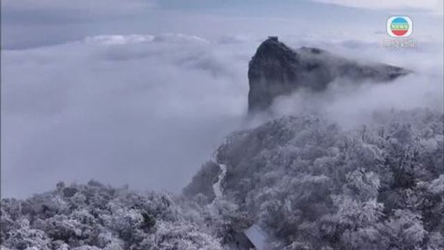 無綫新聞 TVB News