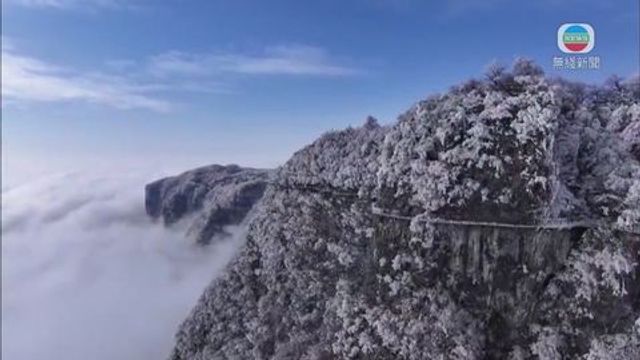 無綫新聞 TVB News