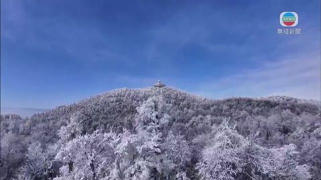 無綫新聞 TVB News