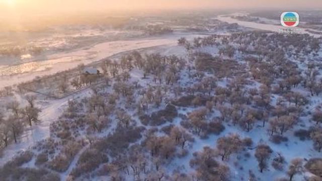 無綫新聞 TVB News