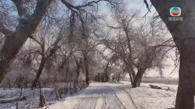 無綫新聞 TVB News