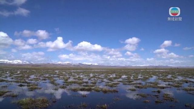 無綫新聞 TVB News 無綫新聞 TVB News