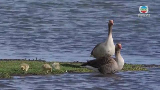 無綫新聞 TVB News 無綫新聞 TVB News