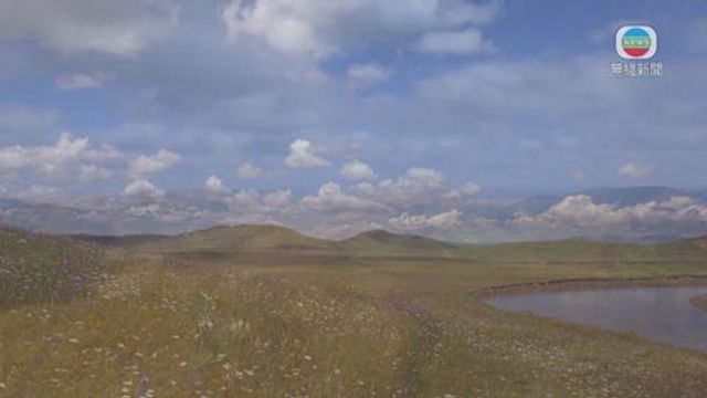 無綫新聞 TVB News 無綫新聞 TVB News