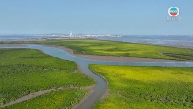 無綫新聞 TVB News