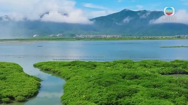 無綫新聞 TVB News