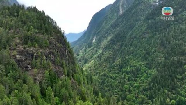 無綫新聞 TVB News