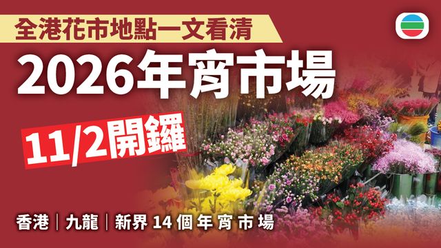 2026年宵市場｜2月11日開鑼　全港14個花市地點、攤位數目｜一文看清