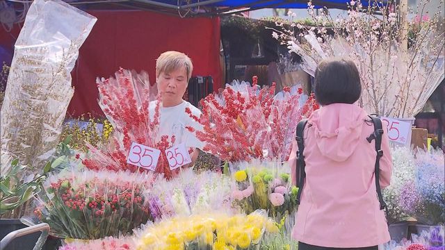 無綫新聞 TVB News