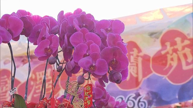 無綫新聞 TVB News