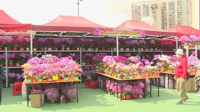 無綫新聞 TVB News