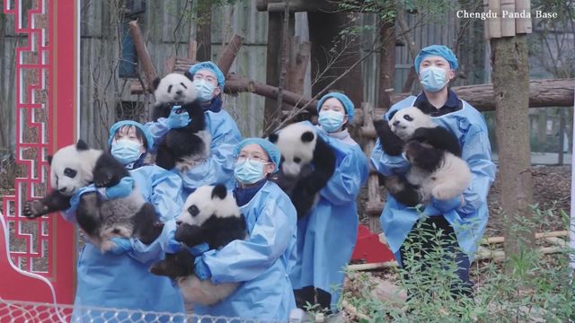 無綫新聞 TVB News 無綫新聞 TVB News